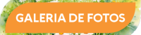 site-energia-para-ler-2025-titulo-galeria-de-fotos