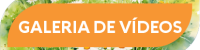 site-energia-para-ler-2025-titulo-galeria-de-videos
